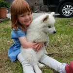 A child and a samoyed puppy
