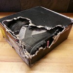 A chewed shoe box